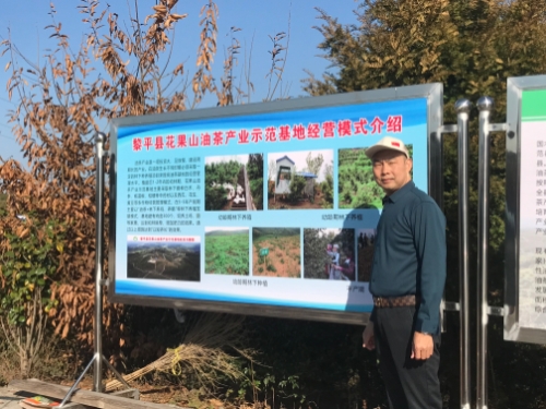 美丽乡村控股集团罗业初董事长率团考察山茶油产业