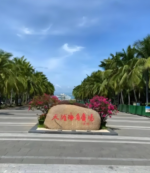 乡村凤凰品牌赋能海南乡村振兴